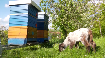 Včelaři vítali jaro na včelařské základně v Ostrožské Lhotě